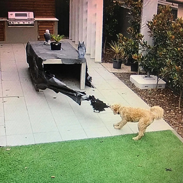 Image of Facebook post